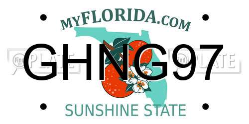 GHNG97 Florida License Plate