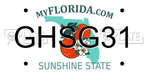 GHSG31 Florida License Plate