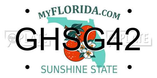 GHSG42 Florida License Plate