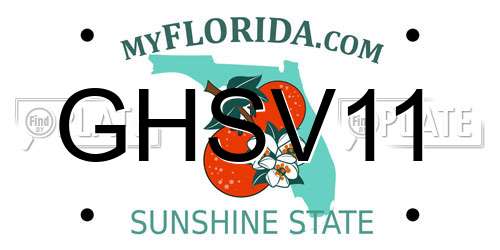GHSV11 Florida License Plate