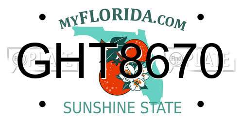 GHT8670 Florida License Plate