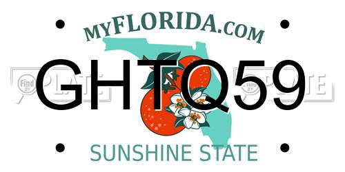 GHTQ59 Florida License Plate