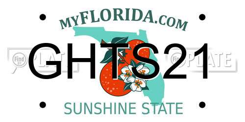 GHTS21 Florida License Plate