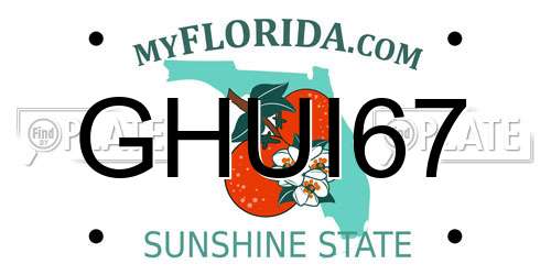 GHUI67 Florida License Plate