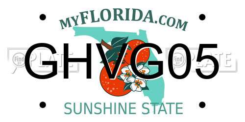 GHVG05 Florida License Plate