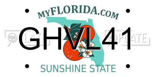 GHVL41 Florida License Plate