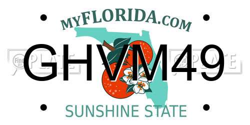 GHVM49 Florida License Plate