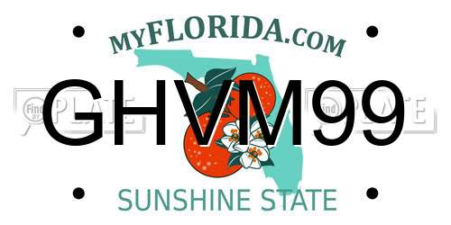 GHVM99 Florida License Plate
