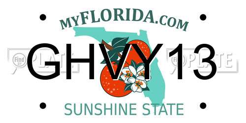 GHVY13 Florida License Plate