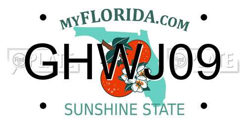 GHWJ09 Florida License Plate