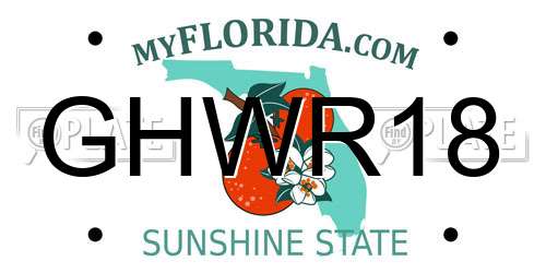 GHWR18 Florida License Plate