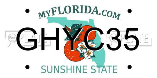 GHYC35 Florida License Plate