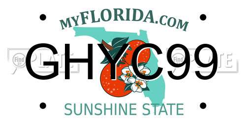 GHYC99 Florida License Plate