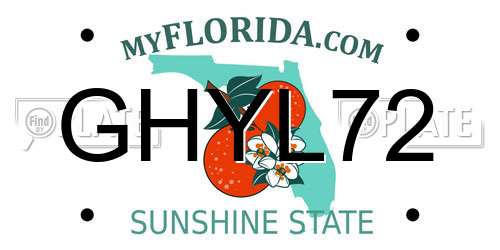 GHYL72 Florida License Plate