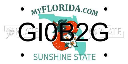 GI0B2G Florida License Plate