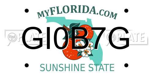 GI0B7G Florida License Plate
