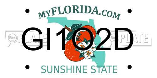 GI1O2D Florida License Plate