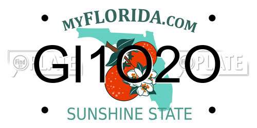 GI1O2O Florida License Plate