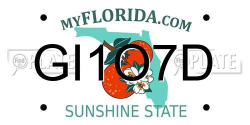GI1O7D Florida License Plate