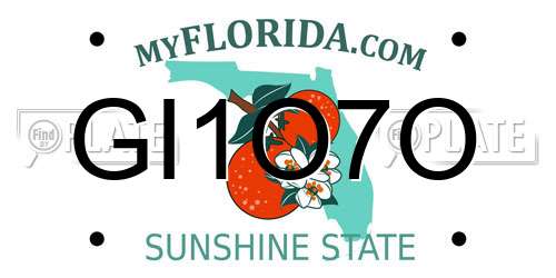 GI1O7O Florida License Plate