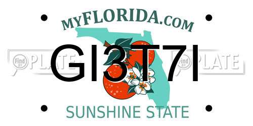 GI3T7I Florida License Plate