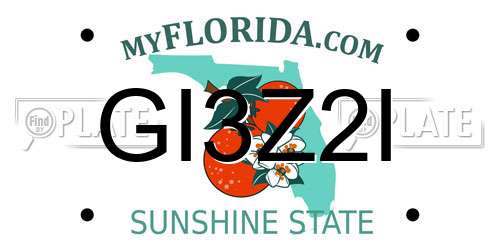 GI3Z2I Florida License Plate