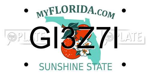 GI3Z7I Florida License Plate