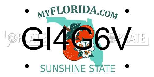 GI4G6V Florida License Plate
