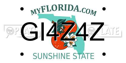 GI4Z4Z Florida License Plate