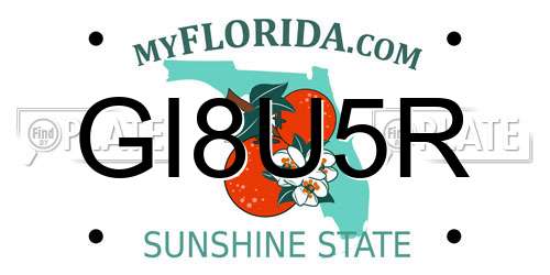 GI8U5R Florida License Plate