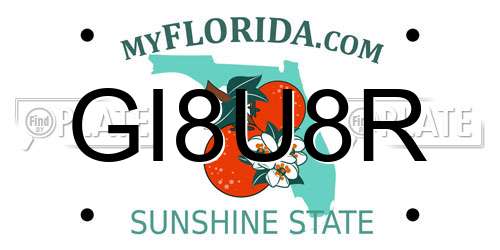 GI8U8R Florida License Plate