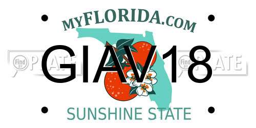GIAV18 Florida License Plate