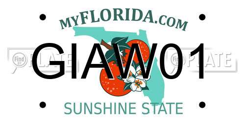 GIAW01 Florida License Plate