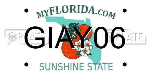 GIAY06 Florida License Plate
