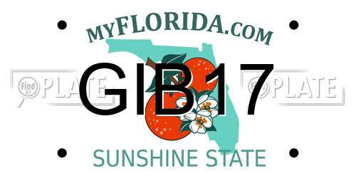 GIB17 Florida License Plate