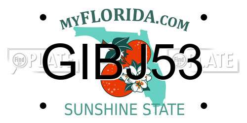 GIBJ53 Florida License Plate