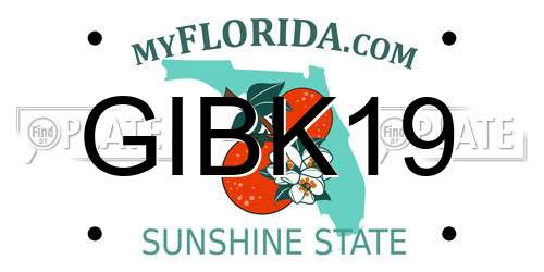 GIBK19 Florida License Plate