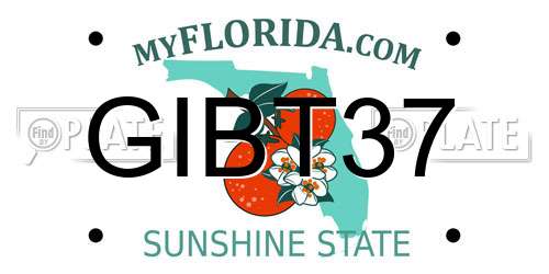 GIBT37 Florida License Plate