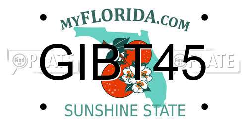 GIBT45 Florida License Plate