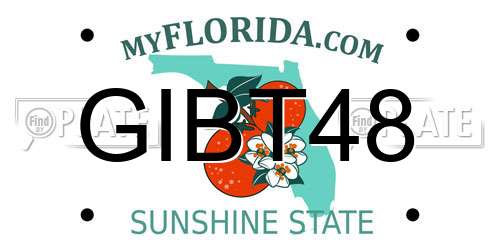 GIBT48 Florida License Plate