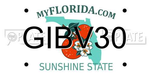 GIBV30 Florida License Plate