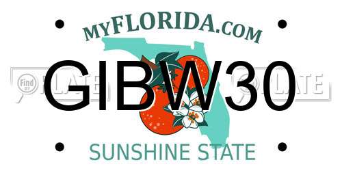 GIBW30 Florida License Plate