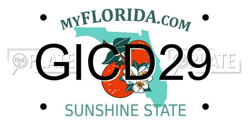 GICD29 Florida License Plate