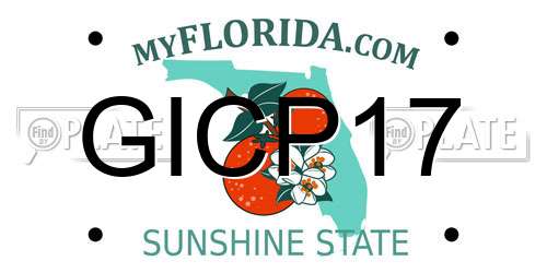 GICP17 Florida License Plate