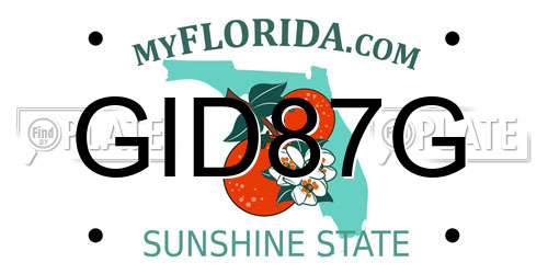 GID87G Florida License Plate