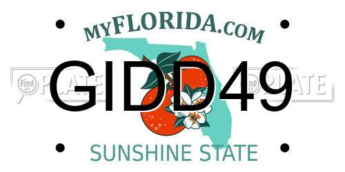 GIDD49 Florida License Plate