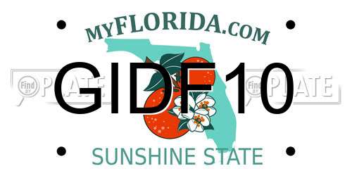 GIDF10 Florida License Plate