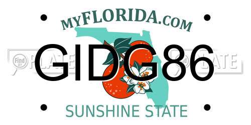 GIDG86 Florida License Plate