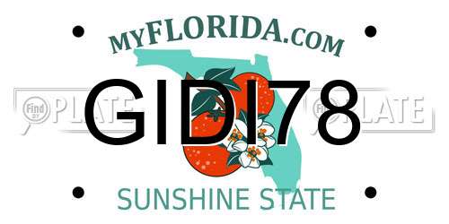 GIDI78 Florida License Plate