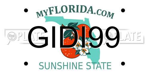 GIDI99 Florida License Plate